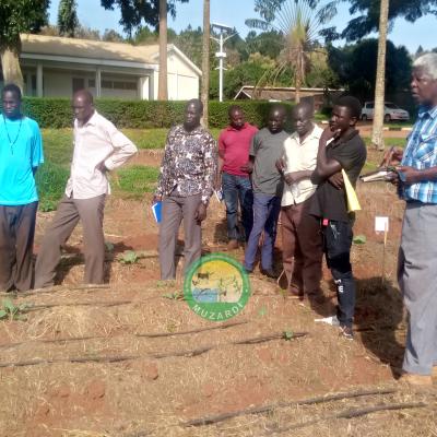 Drip Irrigation Use In Hortculture